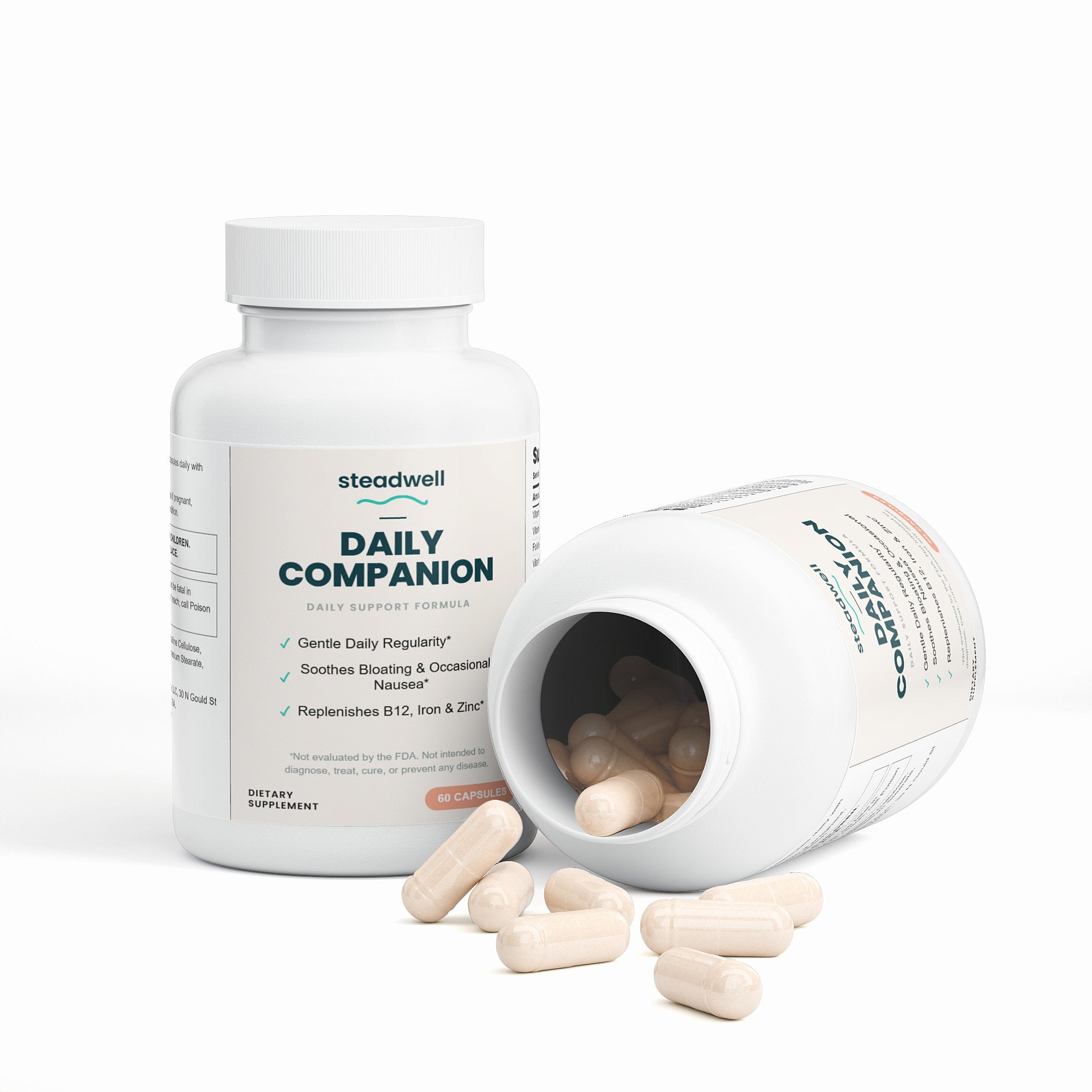 Steadwell Daily Companion — Daily Support Formula