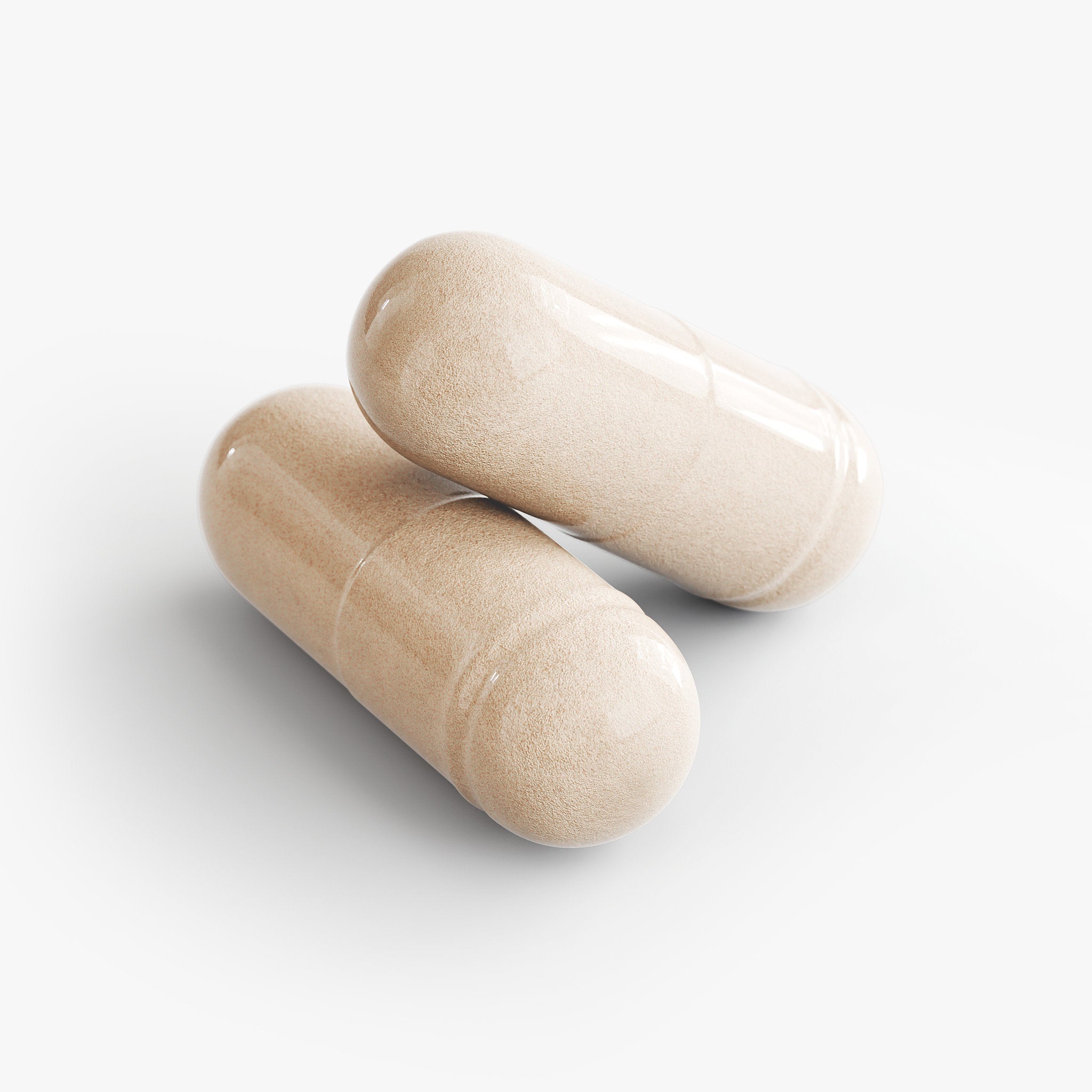 Steadwell Daily Companion — Daily Support Formula